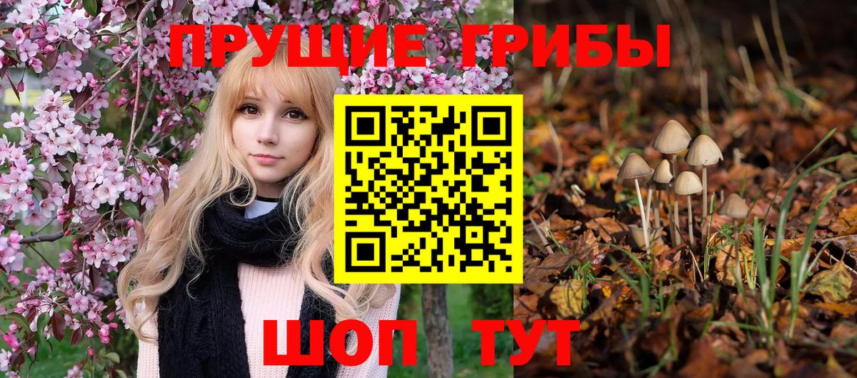 Дубна  Псилоцибиновые грибы прущие грибы  Вход с VPN  Галлюциногенные грибы ЛСД 
